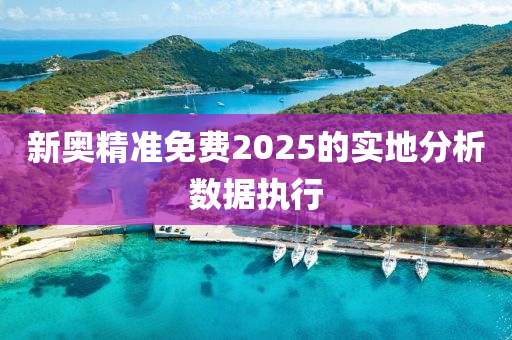 新奧精準(zhǔn)免費(fèi)2025的實(shí)地分析數(shù)據(jù)執(zhí)行木工機(jī)械,設(shè)備,零部件