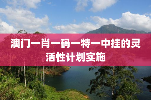 澳門一肖一碼一特一中掛的靈活性計劃實施木工機(jī)械,設(shè)備,零部件