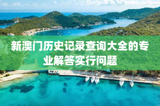 新澳門歷史記錄查詢大全的專業(yè)解答實(shí)行問題