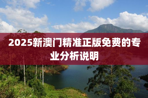 2025新澳門精準(zhǔn)正版免費(fèi)的專業(yè)分析說明