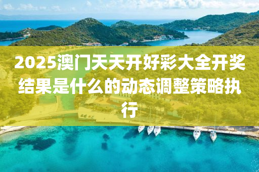 2025澳門天天開好彩大全開獎結(jié)果是什么的動態(tài)調(diào)整策略執(zhí)行