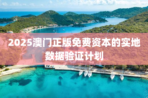 2025澳門正版免費資本的實地數(shù)據(jù)驗證計劃