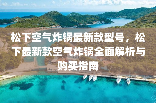 松下空氣炸鍋?zhàn)钚驴钚吞枺上伦钚驴羁諝庹ㄥ伻娼馕雠c購買指南