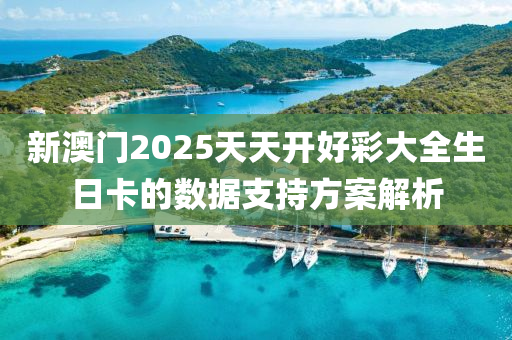 新澳門2025天天開(kāi)好彩大全生日卡的數(shù)據(jù)支持方案解析