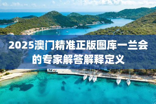 2025澳門精準正版圖庫一蘭會的專家解答解釋定義