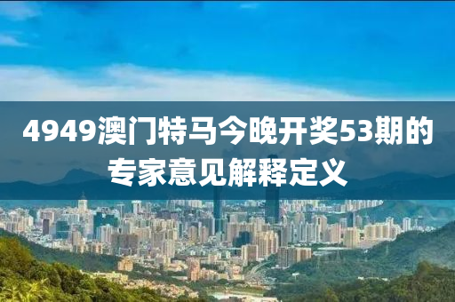 4949澳門特馬今晚開獎53期的專家意見解釋定義