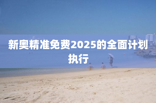 新奧精準(zhǔn)免費(fèi)2025的全面計(jì)劃執(zhí)行