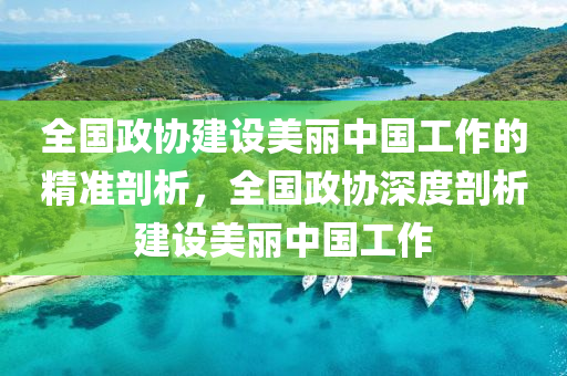 全國政協(xié)建設美麗中國工作的精準剖析，全國政協(xié)深度剖析建設美麗中國工作木工機械,設備,零部件