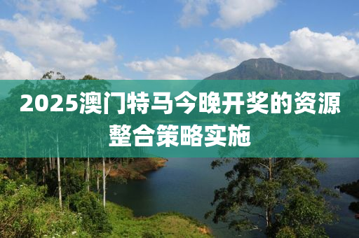 2025澳門特馬今晚開獎的資源整合策略實施