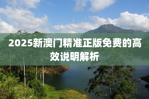 2025新澳門精準(zhǔn)正版免費的高效說明解析