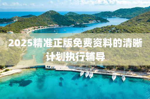 2025精準正版免費資料的清晰計劃執(zhí)行輔導