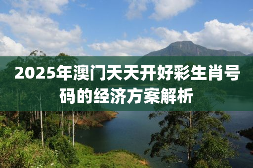 2025年澳門天天開(kāi)好彩生肖號(hào)碼的經(jīng)濟(jì)方案解析