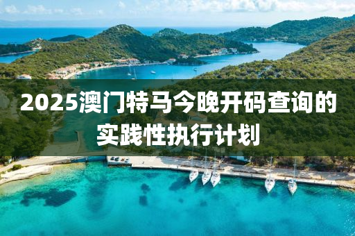 2025澳門特馬今晚開碼查詢的實(shí)踐性執(zhí)行計劃