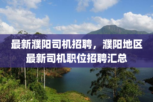 最新濮陽司機招聘，濮陽地區(qū)最新司機職位招聘匯總