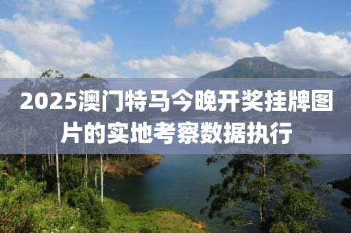 2025澳門特馬今晚開獎掛牌圖片的實(shí)地考察數(shù)據(jù)執(zhí)行