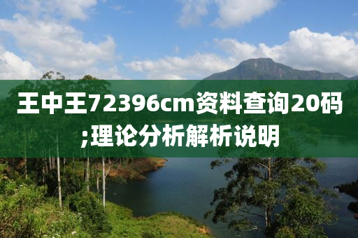 王中王72396cm資料查詢20碼;理論分析解析說明