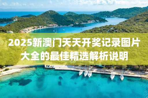 2025新澳木工機械,設(shè)備,零部件門天天開獎記錄圖片大全的最佳精選解析說明