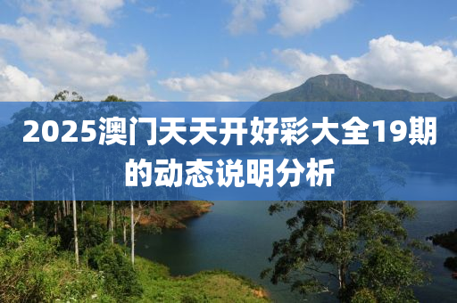 2025澳門天天開好彩大全19期的動態(tài)說明分析