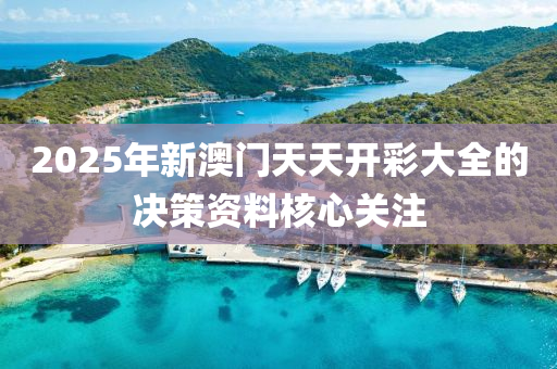 2025年新澳門(mén)天天開(kāi)彩大全的決策資料核心關(guān)注