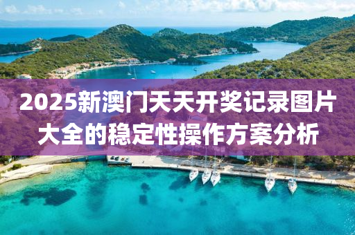 2025新澳門天天開獎記錄圖片大全的穩(wěn)定性操作方案分析