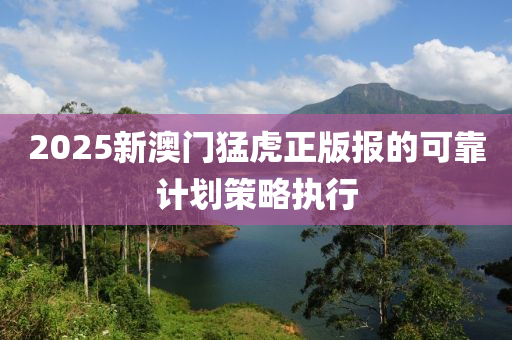 2025新澳門猛虎正版報(bào)的可靠計(jì)劃策略執(zhí)行