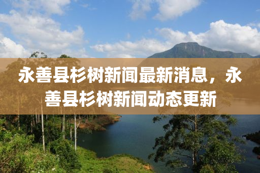 永善縣杉樹新聞最新消息，永善縣杉樹新聞動態(tài)更新