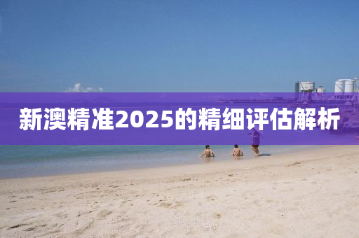 新澳精準(zhǔn)2025的精細(xì)評(píng)估解析