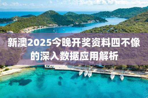 新澳2025今晚開(kāi)獎(jiǎng)資料四不像的深入數(shù)據(jù)應(yīng)用解析