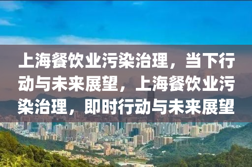 上海餐飲業(yè)污染治理，當下行動與未來展望，上海餐飲業(yè)污染治理，即時行動與未來展望