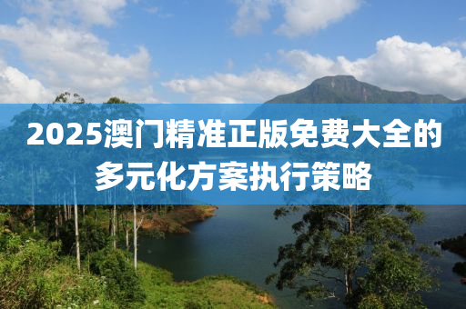 2025澳門(mén)精準(zhǔn)正版免費(fèi)大全的多元化方案執(zhí)行策略