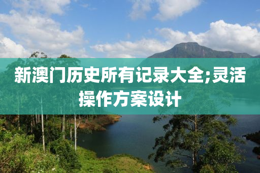 新澳門歷史所有記錄大全;靈活操作方案設計