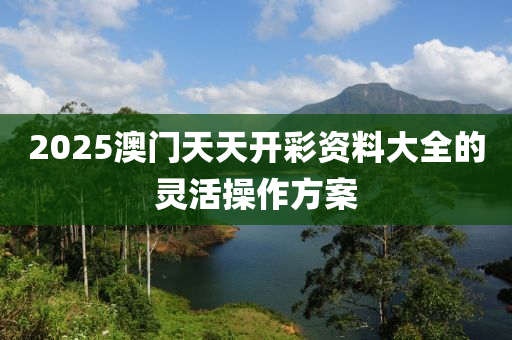 2025澳門(mén)天天開(kāi)彩資料大全的靈活操作方案