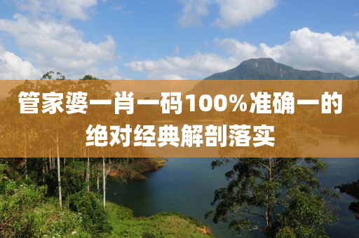 管家婆一肖一碼100%準確一的絕對經典解剖落實木工機械,設備,零部件