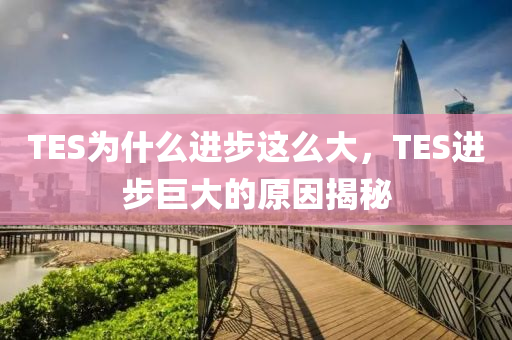 TES為什么進(jìn)步這么大，TES進(jìn)步巨大的原因揭秘木工機械,設(shè)備,零部件