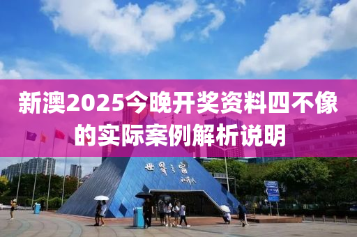 新澳2025今晚開獎資料四不像的實(shí)際案例解析說明