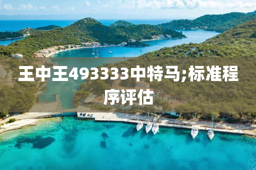 王中王493333中特馬;標準程序評估木工機械,設(shè)備,零部件