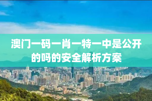 澳門(mén)一碼一肖一特一中是公開(kāi)的嗎的安全解析方案木工機(jī)械,設(shè)備,零部件