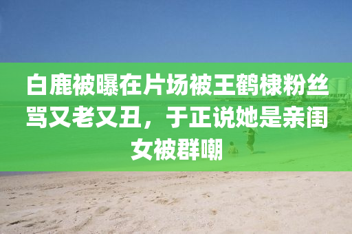 白鹿被曝在片場被王鶴棣粉絲罵又老又丑，于正說她是親閨女被群嘲