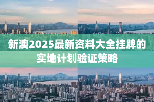 新澳2025最新資料大全掛牌的實(shí)地計(jì)劃驗(yàn)證策略