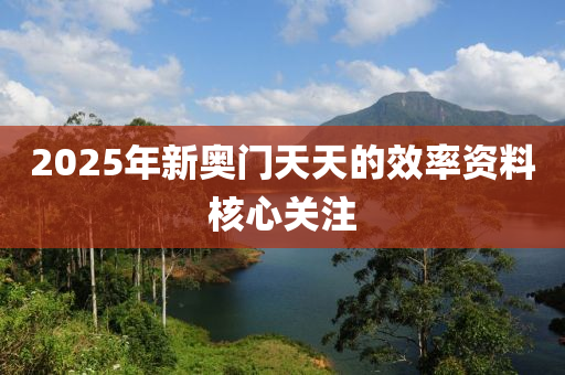 2025年新奧門(mén)天天的效率資料核心關(guān)注