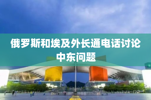 俄羅斯和埃及外長通電木工機械,設(shè)備,零部件話討論中東問題