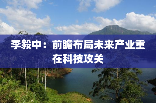 李毅中：前瞻布局未來產(chǎn)業(yè)重在科技攻關(guān)木工機(jī)械,設(shè)備,零部件