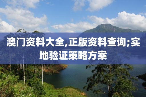 澳門資料大全,正版資料查詢;實(shí)地驗(yàn)證策略方案木工機(jī)械,設(shè)備,零部件