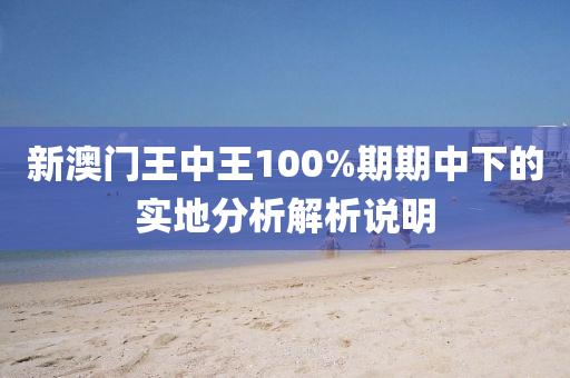 新澳門王中王100%期期中下的實地分析解析說明