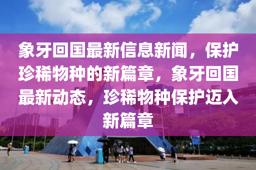 象牙回國最新信息新聞，保護珍稀物種的新篇章，象牙回國最新動態(tài)，珍稀物種保護邁入新篇章