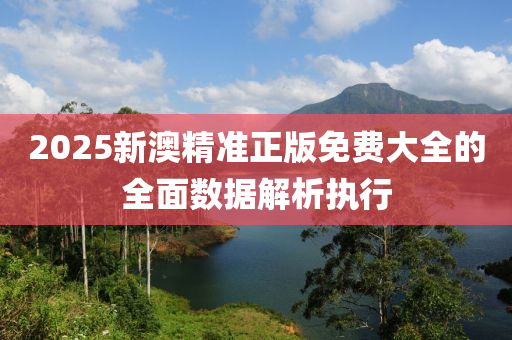 2025新澳精準(zhǔn)正版免費大全的全面數(shù)據(jù)解析執(zhí)行木工機(jī)械,設(shè)備,零部件