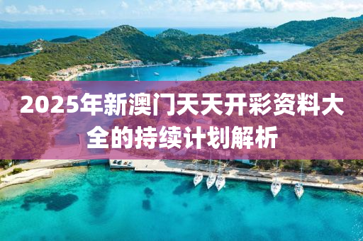 2025年新澳門天天開彩資料大全的持續(xù)計劃解析木工機械,設備,零部件