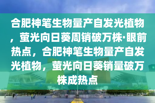 合肥神筆生物量產(chǎn)自發(fā)光植物木工機(jī)械,設(shè)備,零部件，螢光向日葵周銷破萬株·眼前熱點(diǎn)，合肥神筆生物量產(chǎn)自發(fā)光植物，螢光向日葵銷量破萬株成熱點(diǎn)