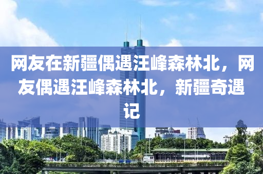 網友在新疆偶遇汪峰森林北，網友偶遇汪峰森林北，新疆奇遇記木工機械,設備,零部件