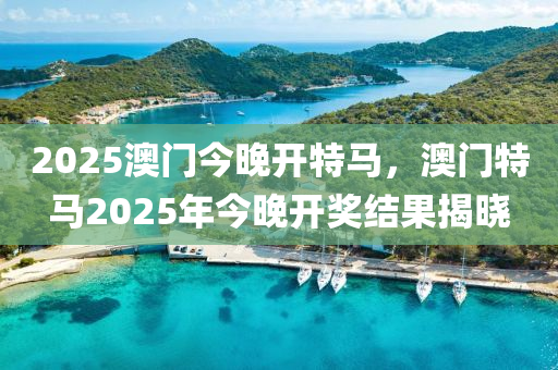 2025澳門今晚開特馬，澳門特馬2025年今晚開獎(jiǎng)結(jié)果揭曉木工機(jī)械,設(shè)備,零部件